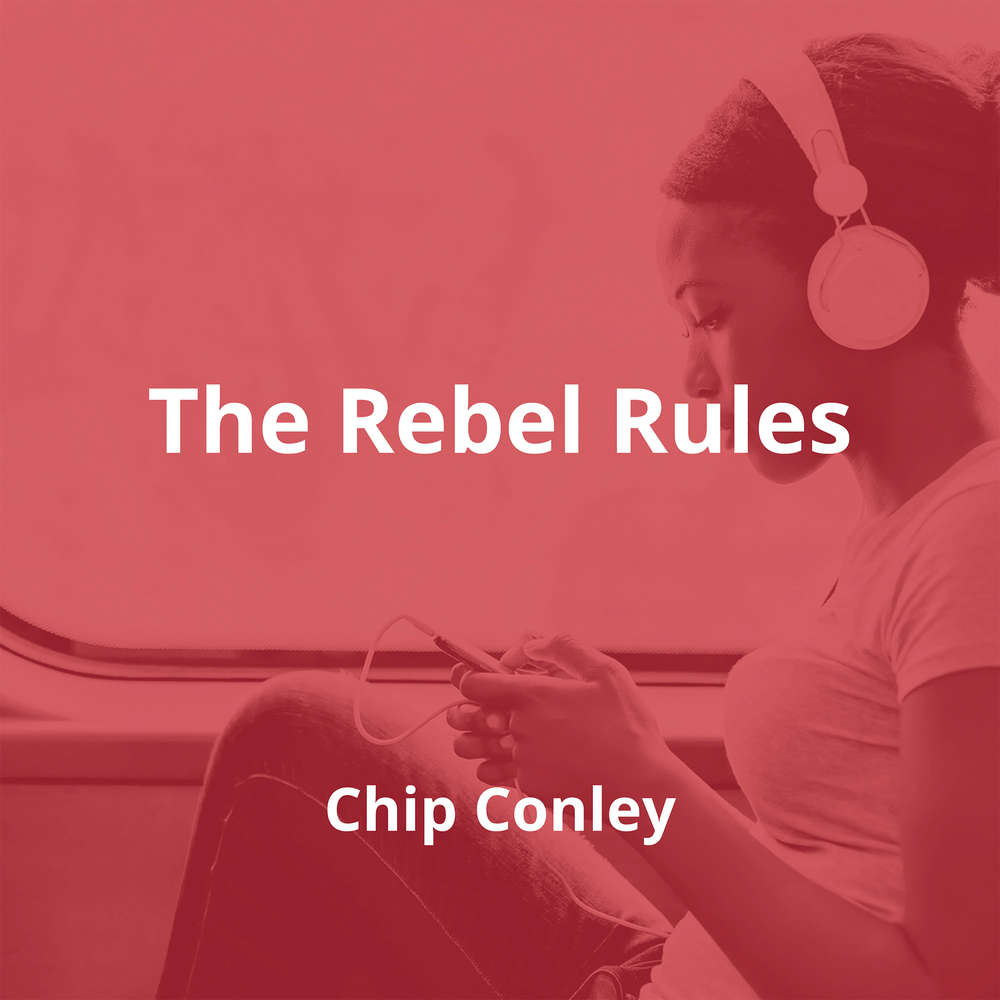 The Rebel Rules by Chip Conley - Summary