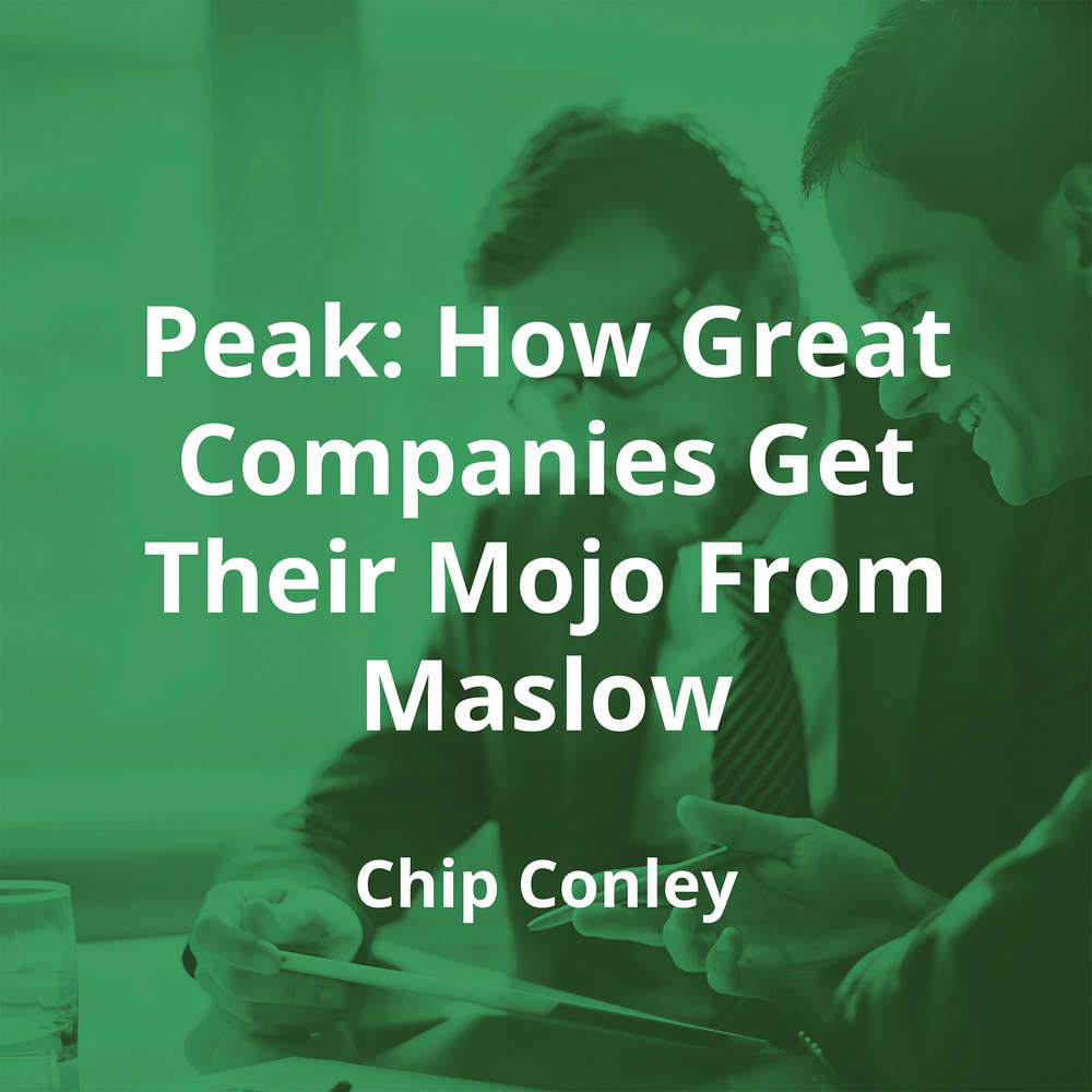 Peak: How Great Companies Get Their Mojo From Maslow by Chip Conley - Summary