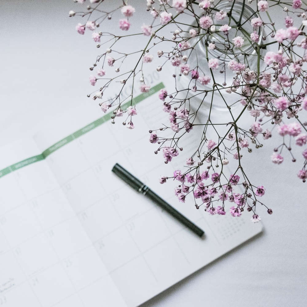 The 4 Kinds of Well-Earning Writers