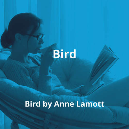 Bird By Bird by Anne Lamott - Summary