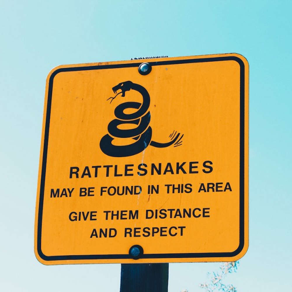 How to Build a Culture of Psychological Safety