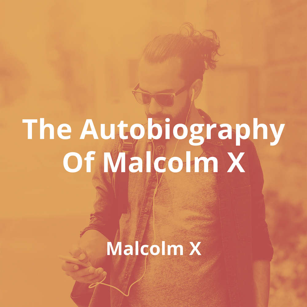 The Autobiography Of Malcolm X by Malcolm X - Summary